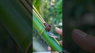 Bamboo creations withNew Bamboo Idea Bamboo Diy Bambooart Slingshots [upl. by Jacobson534]