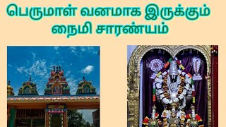 நைமிசாரண்யம் திவ்ய தேசம் Naimicharanyam Perumal Temple [upl. by Canice]