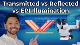 Transmitted VS Reflected VS Epi Illumination in Microscopes [upl. by Jonny]