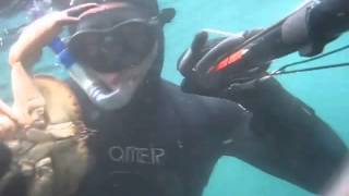 Spearfishing trip to Saltstraumen 2011 [upl. by Erdda]