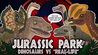 Jurassic Park Evolution Movie Dinosaurs Compared To Real Life 1993  ANIMATED [upl. by Andromache]