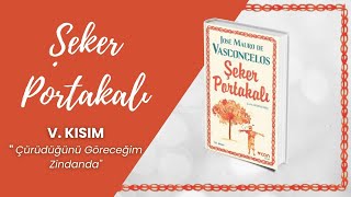 Şeker Portakalı Sesli Kitap  5 BÖLÜM  Jose Mauro de Vasconcelos [upl. by Parks]