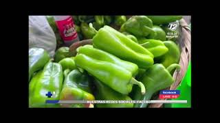 Precios de verduras disminuyen en el mercado La Tiendona [upl. by Enail]