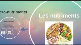 Présentation des Nutriments [upl. by Wehrle]