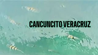 CANCUNCITO PUERTO DE VERACRUZ [upl. by Nogam857]