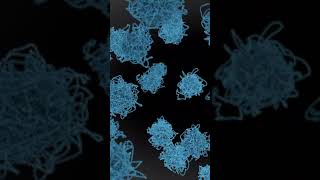 Chromosomes keep DNA organized and tidy genes cell histones mitosis science animation [upl. by Rogovy745]