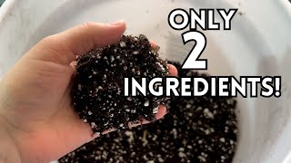 How To Make Your Own Succulent Soil Easily🌵 Only 2 Ingredients  Angels Grove Gardening [upl. by Ahsenik947]