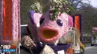 Bloemencorso 2013 [upl. by Whiting635]