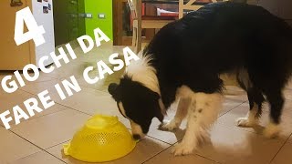 Problem solving quattro giochi da fare in casa con il cane [upl. by Seely]