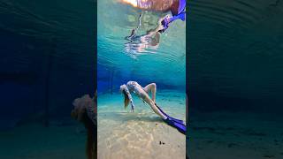 🩵✨🫧☁️ underwater freediver freediving [upl. by Jeffries]