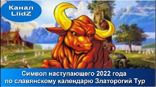 Символ наступающего 2022 года по славянскому календарю Златорогий Тур [upl. by Ynnavoj]