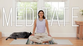 8 Minute Meditation You Can Do Anywhere [upl. by Lahcsap]