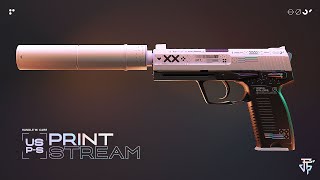 CSGO USPS Printstream Craft Combos  Mejores Combinaciones Pegatinas USPS Printstream [upl. by Kondon]