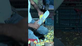 pinapple cutting style streetfood [upl. by Eimmaj]