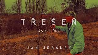 TŘEŠEŇ  jarní řez [upl. by Cornall]