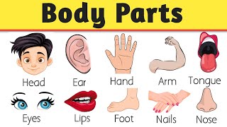 Parts of body  Parts of body name in english  Human body parts with pictures [upl. by Rozalie]