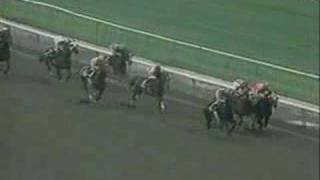 Ferdinand vs Broad Brush  1987 Santa Anita Handicap [upl. by Atkinson]