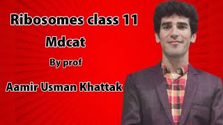 Ribosome Class 11 by sir Aamir Usman khattak [upl. by Cirdes]