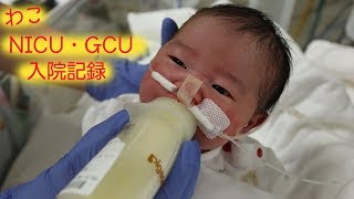 【わこ】NICU・GCU入院記録《新生児仮死》 [upl. by Ellak375]