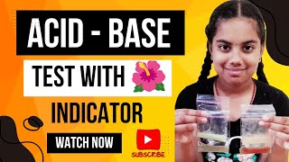 Acid  Base Test with Hibiscus Indicator  Acids amp Bases Natural Test Using Hibiscus🌺 Flower shorts [upl. by Fulton]