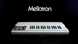 Mellotron M4000DMini White  Gear4music demo [upl. by Fleisig]