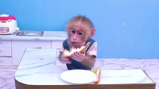 Baby monkey Obi eats waterapple so yummy [upl. by Tayib]