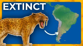 Every Extinct Animals from South America [upl. by Lion159]