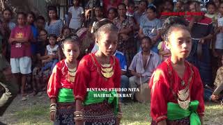 MAUMERE DANCE TARI HEGONG KREASI 1 OLEH ANAKANAK SDI SOLOTTEBUK [upl. by Donelson]