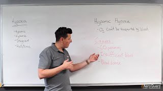 Causes and Effects of Hypoxia – AeroGuard Flight Training Center [upl. by Kylen]