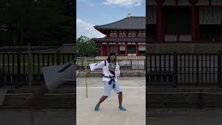 Sword Spinning Jutsu shorts martialarts [upl. by Michelle744]