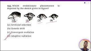 Which evolutionary phenomenon is depicted by the sketch given in figure 1 Artificial selection [upl. by Cymbre]