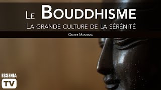 Le Bouddhisme  La grande culture de la sérénité [upl. by Ellimaj]