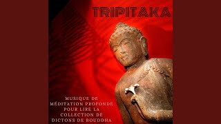 Tripitaka [upl. by Cresida620]