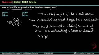 How many different proteins does the ribosome consist of1 80 2 603 40 4 20 [upl. by Dowell]