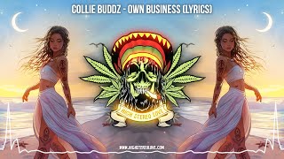 Collie Buddz  Own Business ✨ New Reggae 2024  Cali Reggae 2024  Island Reggae  Lyric Video [upl. by Lelith]