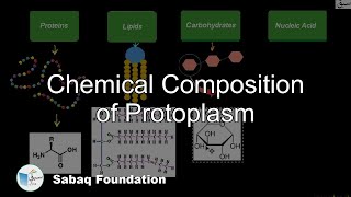 Chemical Composition of Protoplasm Biology Lecture  Sabaqpk [upl. by Namron988]