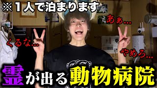 【YouTuber初】1人で暗夜に泊まるサイコパスが逆に怖すぎた、、、 [upl. by Kokoruda472]