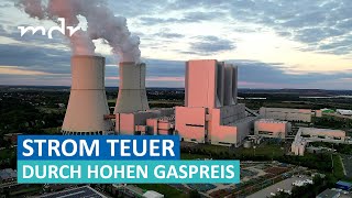 Teurer Strom Warum der Gaspreis auch die Kosten für Energie drastisch erhöht  Umschau  MDR [upl. by Telfore]