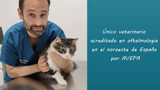 Presentación de la Clínica Oftalmología Veterinaria Asturias en Gijón [upl. by Proffitt]