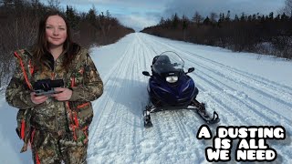 Venture Newfoundland  Snow Fun amp Quick Moose Cookup [upl. by Masao665]