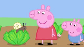 Peppa Pig and Animals [upl. by Matuag]