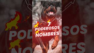 ✅ Nombres para perros rottweiler MACHO💪 [upl. by Cherida]