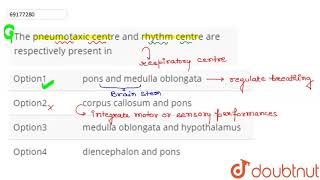 The pneumotaxic centre and rhythm centre are respectively present in [upl. by Zumwalt]