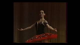 Olena Filipyeva in Don Quixote 1995 [upl. by Elianora]