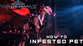 วิธีทำหมาติดเชื้อ Warframe How To Helminth Charger [upl. by Mairhpe]