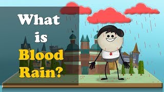 What is Blood Rain  more videos  aumsum kids science education children [upl. by Aimee]