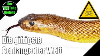 Giftigste Schlange der Welt – Taipan Gift Wirkung [upl. by Rorry]