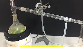 Hydrodistillation of essential oil การสกัดน้ำมันหอมระเหย [upl. by Dorotea608]