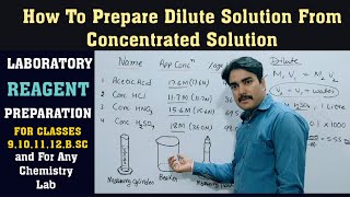 how to prepare dilute solution from concentrated acid Laboratory reagent class 9101112BSc [upl. by Cherish]