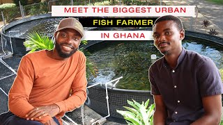 HOW TO START A PROFITABLE BACKYARD FISH FARMING IN AFRICA WITH ONLY GHS3000 260  LartmanFarms [upl. by Norehc]